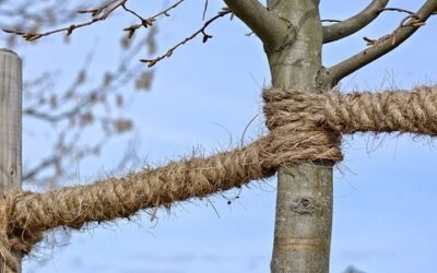 Herramientas SEO para conseguir enlaces