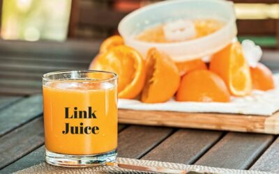 Link Juice: Cómo se reparte la autoridad entre links
