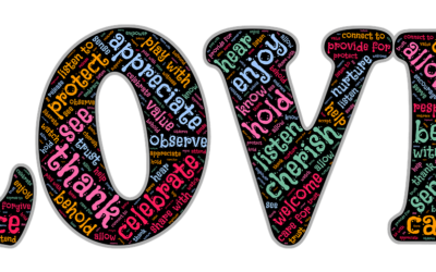 5 Razones para enamorarte del SEO