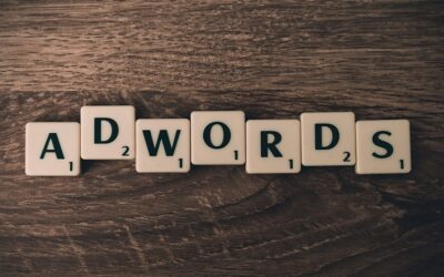 Todo lo que necesitas saber sobre las Palabras Clave Negativas